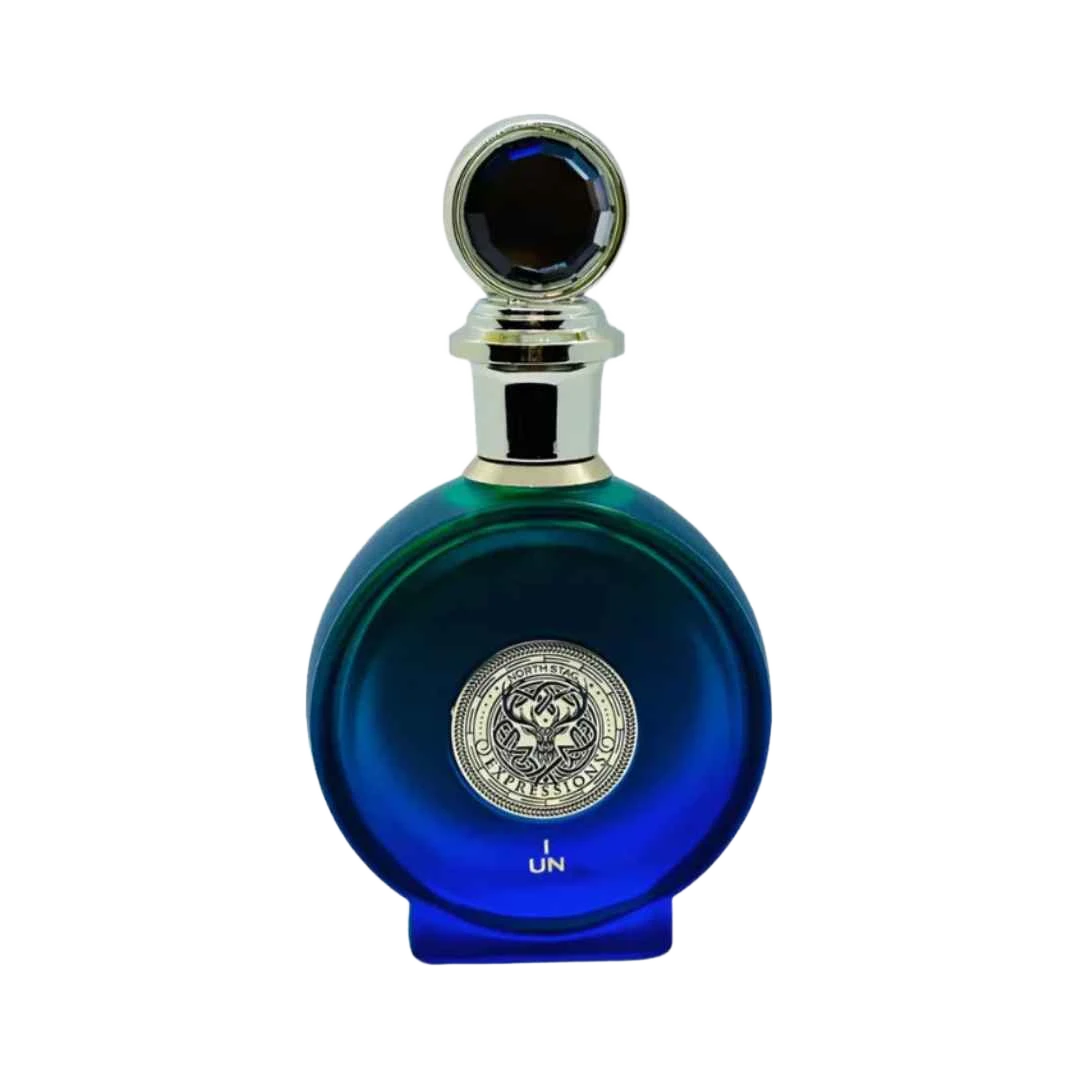 PARIS CORNER NORTH STAG UN EDP FOR MEN - 100 ml -Hadiyyeh